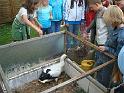 12 Der Storch bei Familie M. Klasse 3